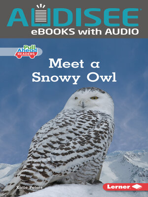 cover image of Meet a Snowy Owl
